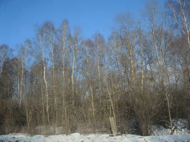 DSCN7123